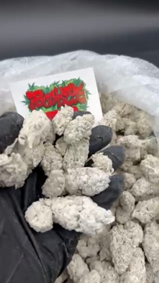 snow caps weed snow caps weed snow cap weed weed snow caps snow caps flower snowcaps weed snow caps thca snowcaps weed snow caps snowcap weed snowcaps what is snow caps weed snow weed snowcap strain snow caps strain snow caps bud snowcaps flower snow cap weed price snow caps thc snocaps strain snow cap weed strain sno caps weed snow cap strain snocaps weed snowcap bud sno caps strain thc snow caps snow caps marijuana snow caps weed price snowcaps weed snowfall weed snow caps weed strain snow cap cannabis snow cap bud snowcap thca what are snow caps what are snow caps weed snow weed snow caps cannabis snow cap marijuana snow caps thca flower snow caps za snowcaps thca snowcaps strain snow cap weed thca snow caps percy snow caps weed snowcaps thc snowcaps bud weed snowcaps snowflakes weed thc a snow caps snow caps weed